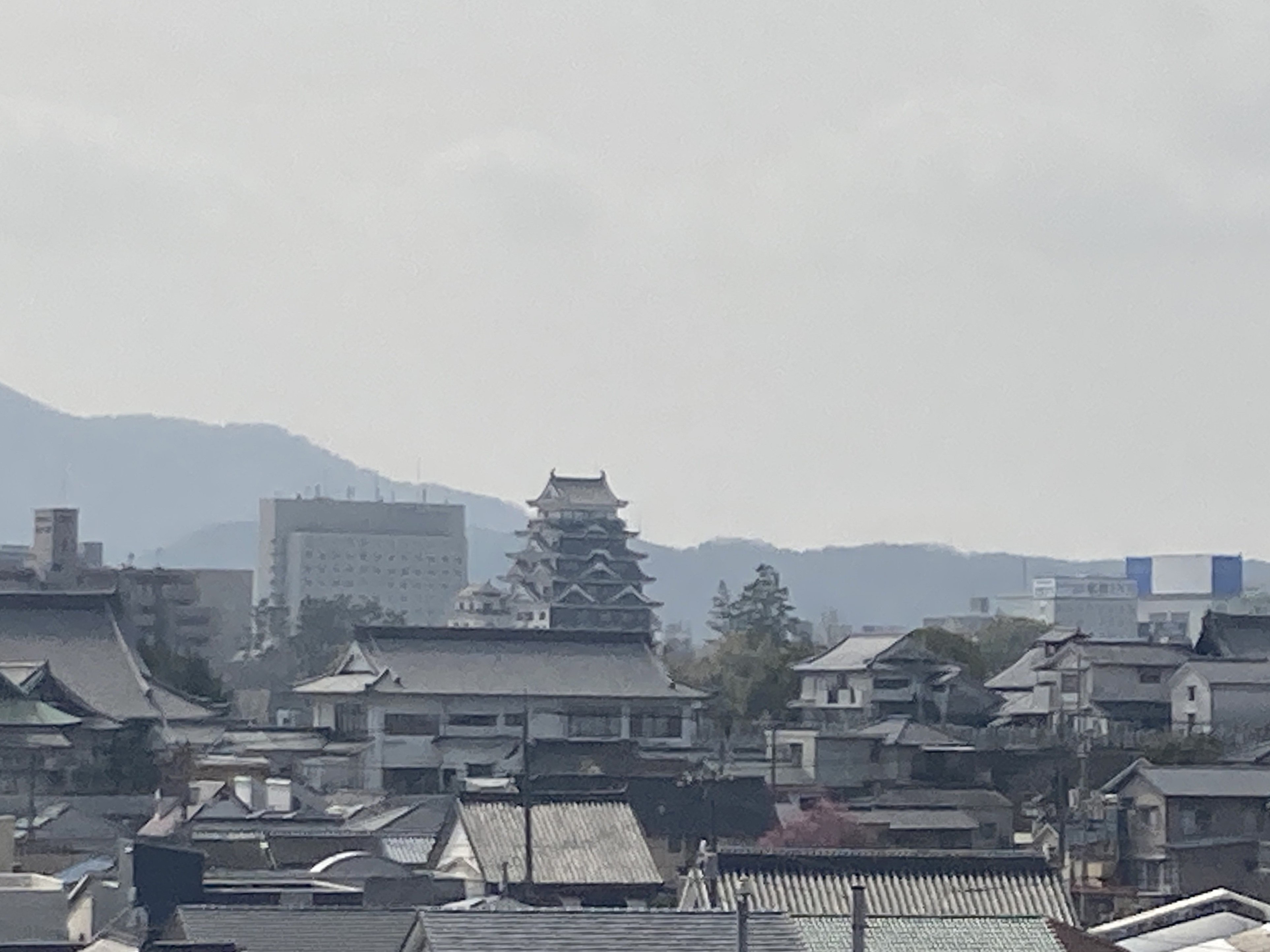 Image_20250313_111027_863.jpeg
